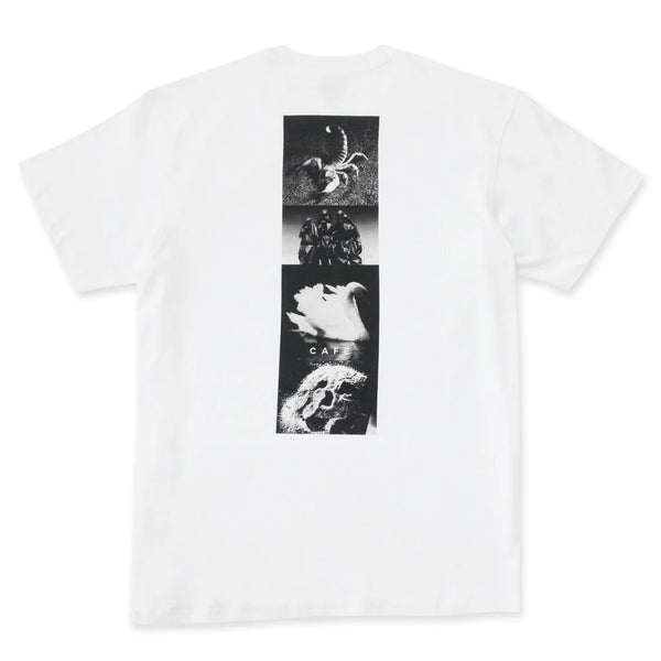 CAFE | Pooch Tee | Cream