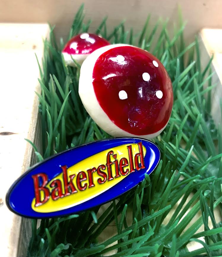 BAKERSFIELD SKATEBOARD CO. | Shop Pins | Various